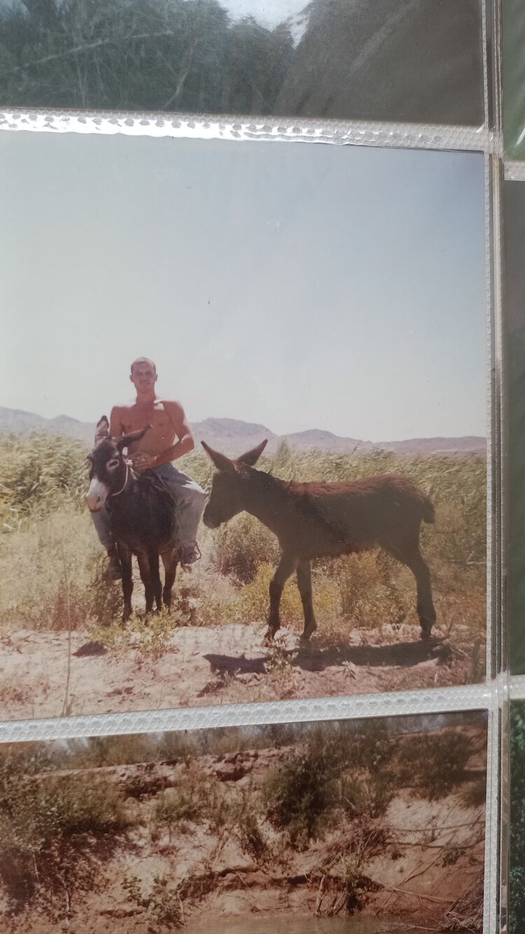 ���� 55731231 ������� ���������, 42 ����, ���� ���������� � �����������