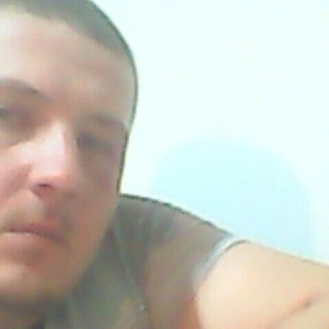  9976511  Fox, 38 ,    