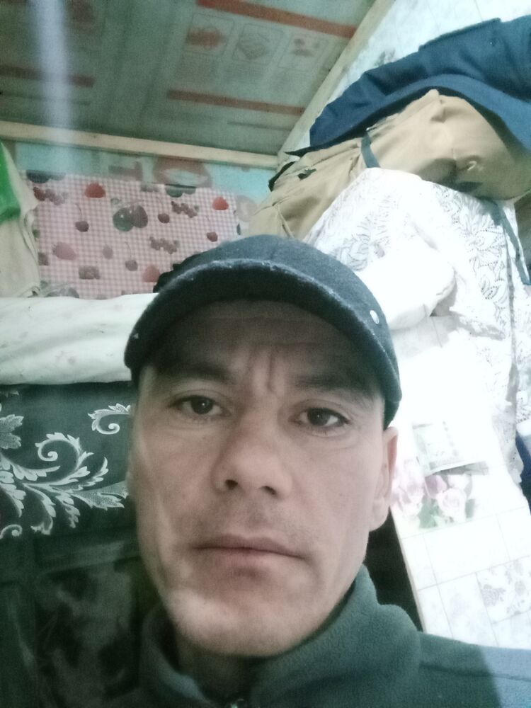  34336891  , 40 ,    