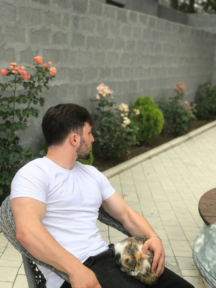 ���������� ���������, ���� ����� ��������, 24 ����, ������������ ��� ������, ����� � ���������