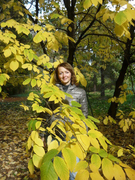 ���� 9608831 ������� ���������, 50 ���, ���� ���������� � ���������