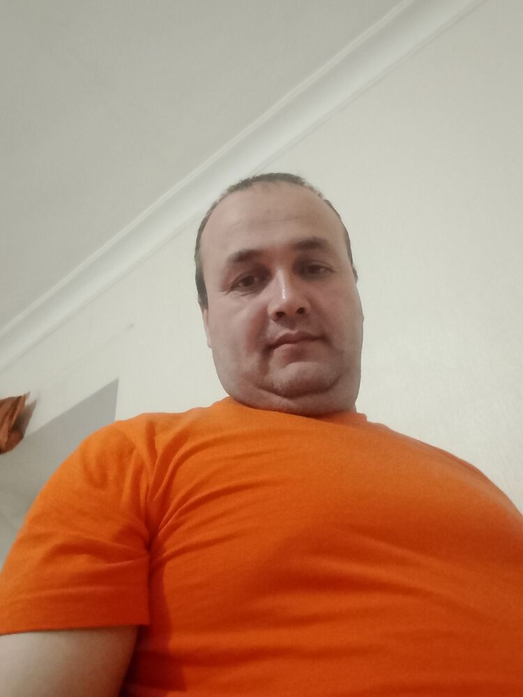  54336861  , 38 ,    -