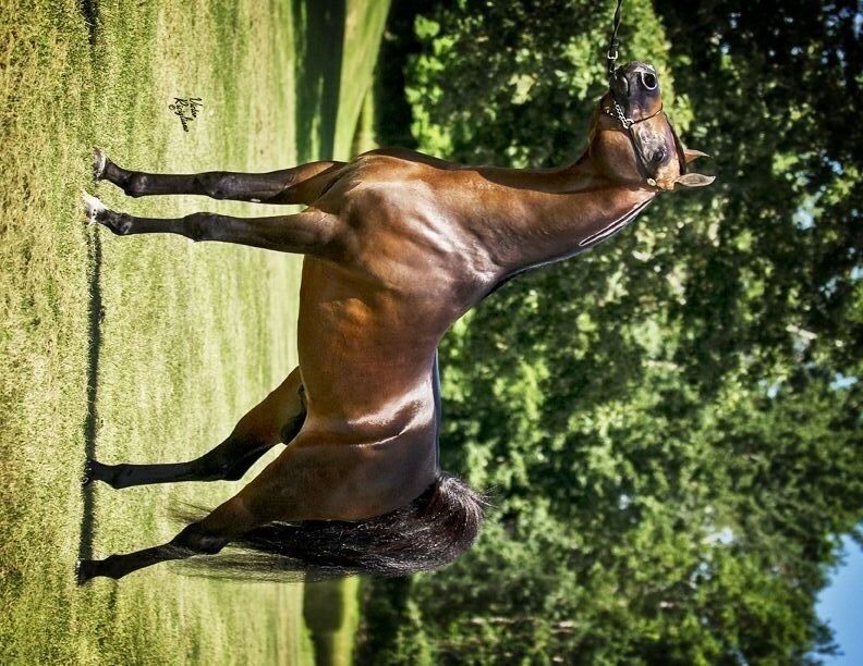 ���� 24762951 ������� �����, 39 ���, ���� ���������� � �������