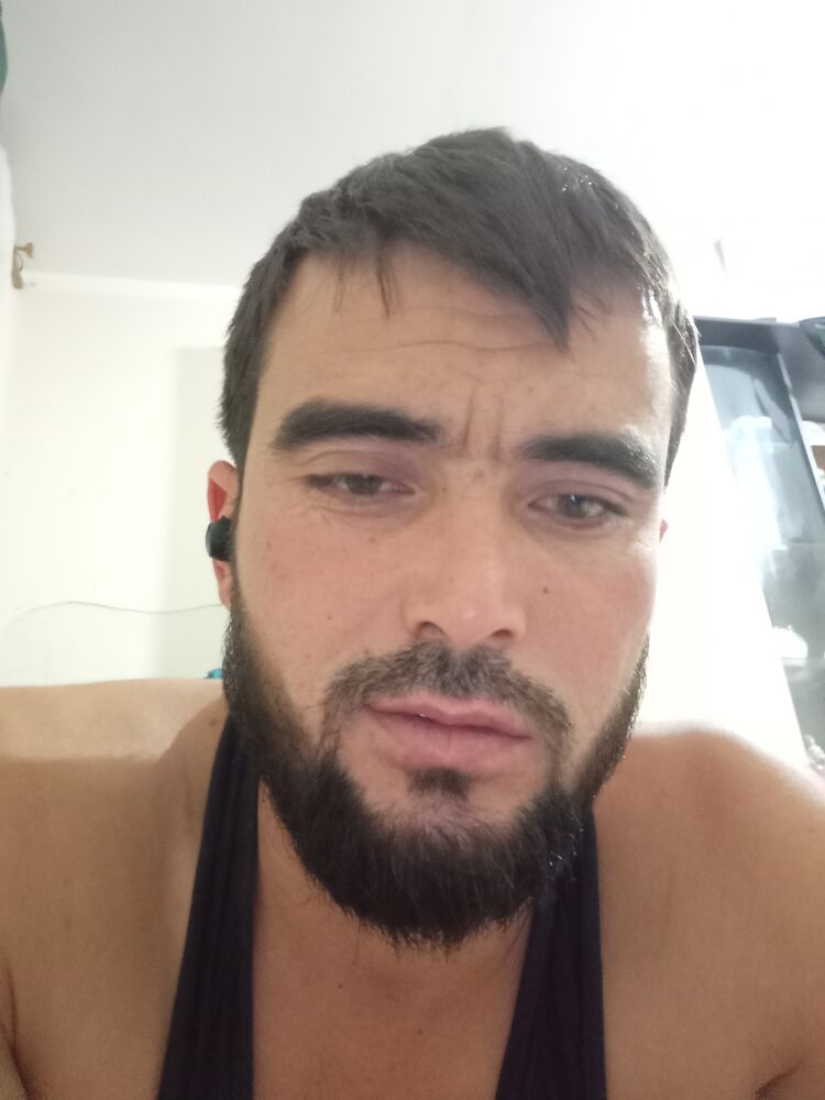 ���� 31282801 ������� �����, 36 ���, ���� ���������� � �������-��-����