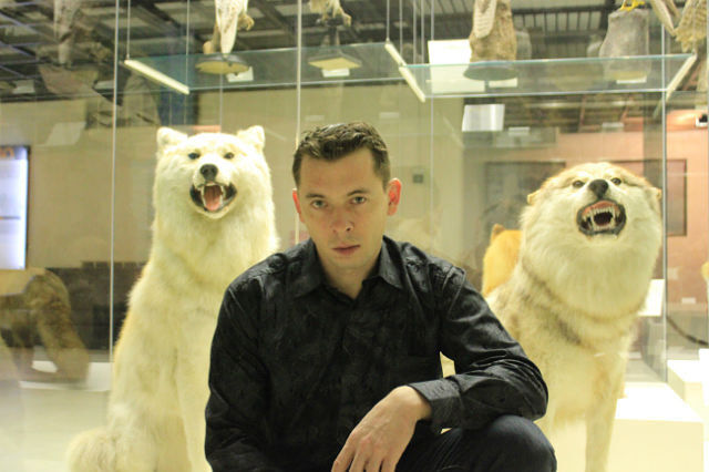 ���������� ��������, ���� ������� �����, 40 ���, ������������ ��� ������, ����� � ���������, c�������� ���������