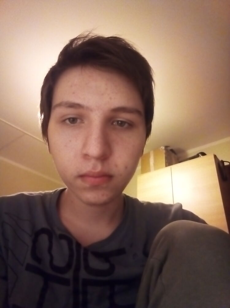 ���� 31353901 ����� �����, 23 ����, ���� ���������� � ������