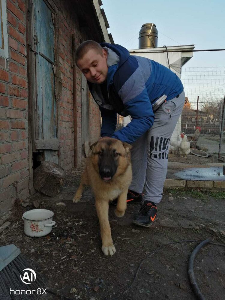 ���� 24217741 ������� �������, 29 ���, ���� ���������� � ���������