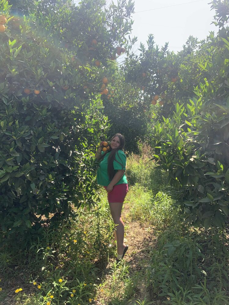 ���� 37514661 ������� �����, 28 ���, ���� ���������� � ���