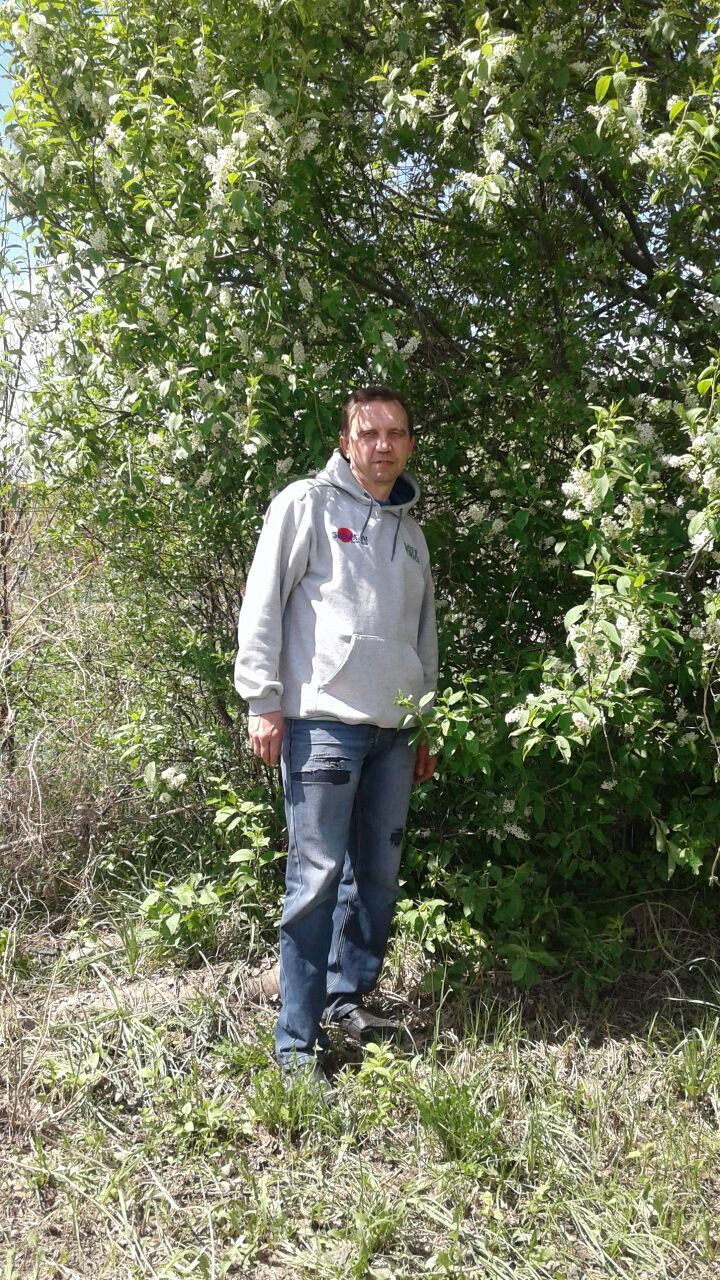  -,   , 51 ,   ,   