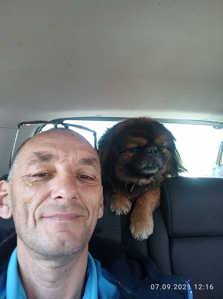 ���� 23943491 ������� ������, 50 ���, ���� ���������� � ������