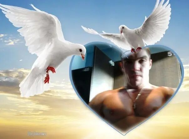 ���������� ������, ���� ������� �����, 39 ���, ������������ ��� ����� � ���������, c�������� ���������, ���������