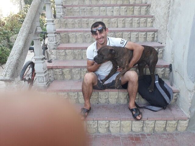 ���������� �������, ���� ������� Dima, 37 ���, ������������ ��� ������, ����� � ���������