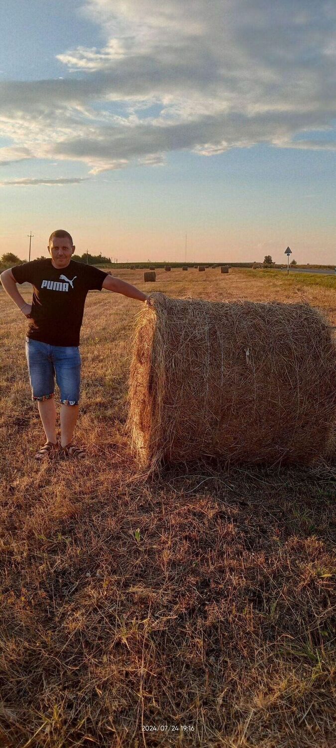  53353901  Serg, 43 ,    