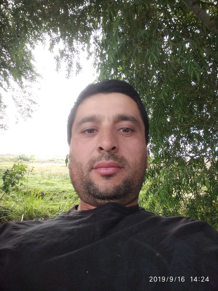  ,   DILWOD, 44 ,   ,   , c 