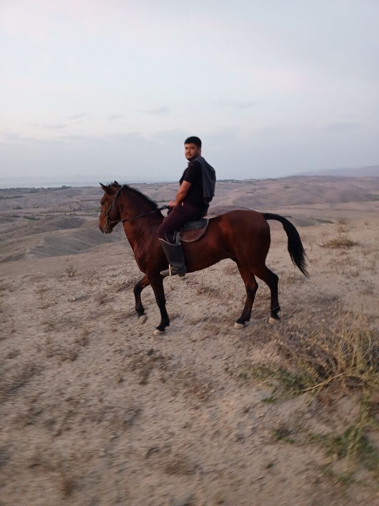  50743971  Edik, 25 ,    