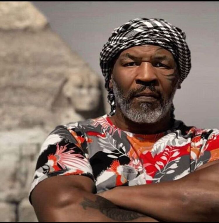 ���� 45901861 ������� ������, 45 ���, ���� ���������� � �����-����������