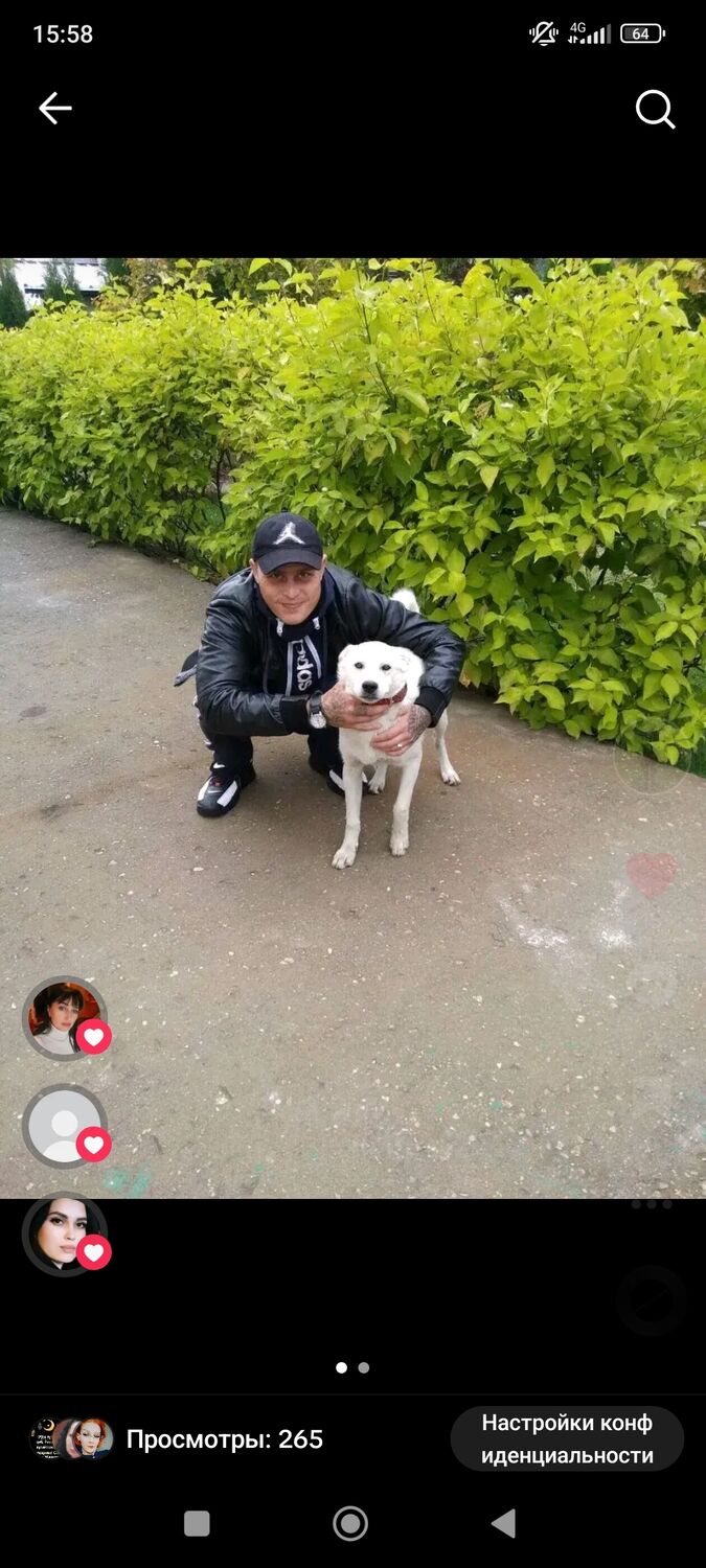 ���������� ������, ���� ������� Boss, 38 ���, ������������ ��� ������, ����� � ���������