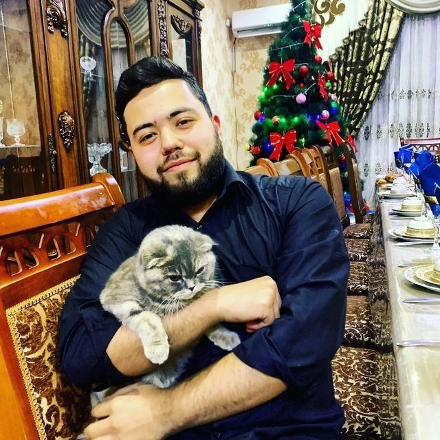 ���������� �����-���������, ���� ������� ����, 28 ���, ������������ ��� ����� � ���������, c�������� ���������, ���������