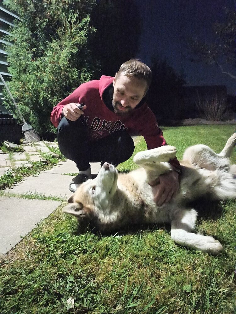 ���� 55304811 ������� �������, 46 ���, ���� ���������� � ���������