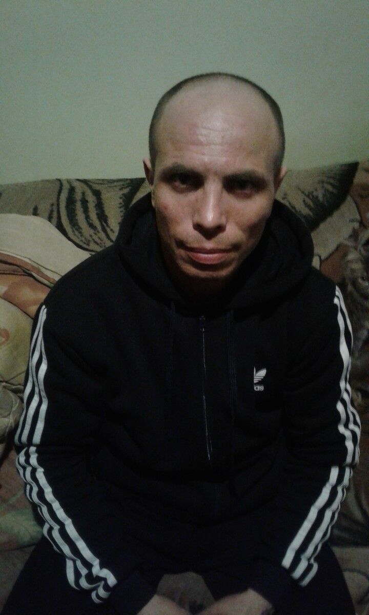  15604071  , 43 ,    