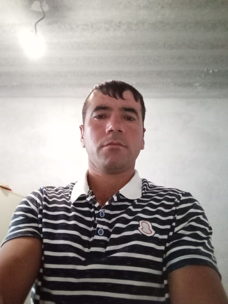  50322341  , 37 ,    