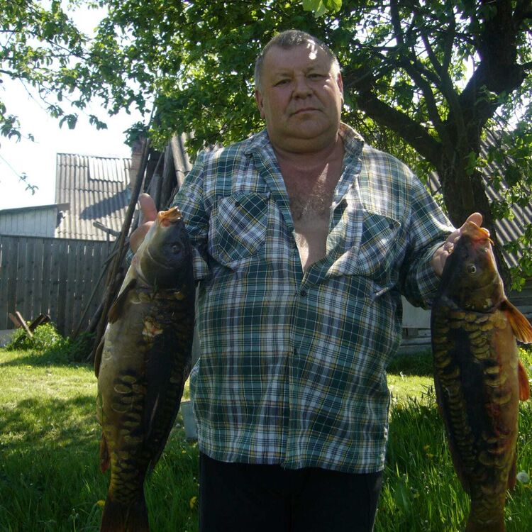 ���� 35500451 ������� ������, 69 ���, ���� ���������� � ������