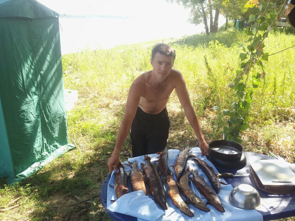 ���� 47764211 ������� �������, 47 ���, ���� ���������� � ������