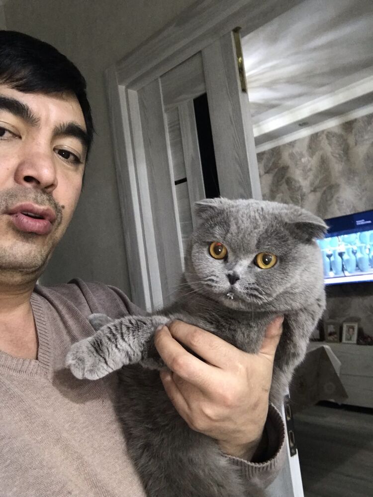 ���� 25442621 ������� �����, 39 ���, ���� ���������� � ��������