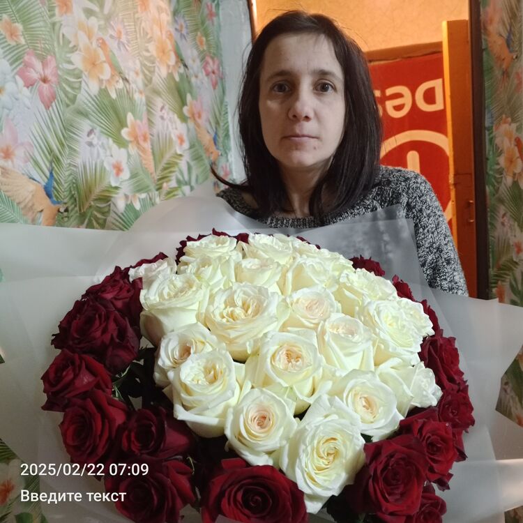  49838121  , 34 ,    