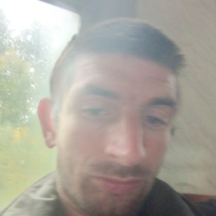  31502381  , 36 ,    