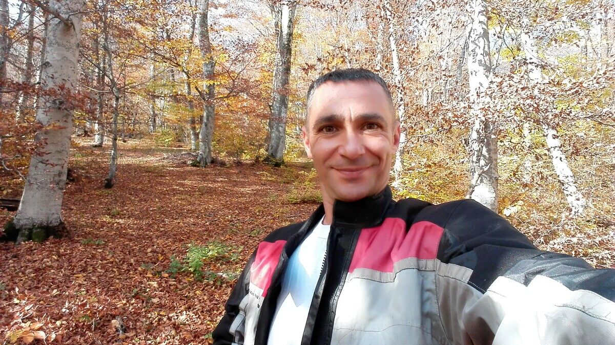  22064061  , 49 ,    