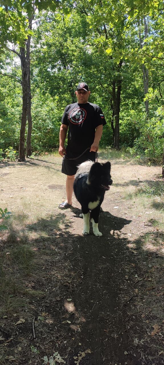  ,   Denis, 40 ,   ,   , c 