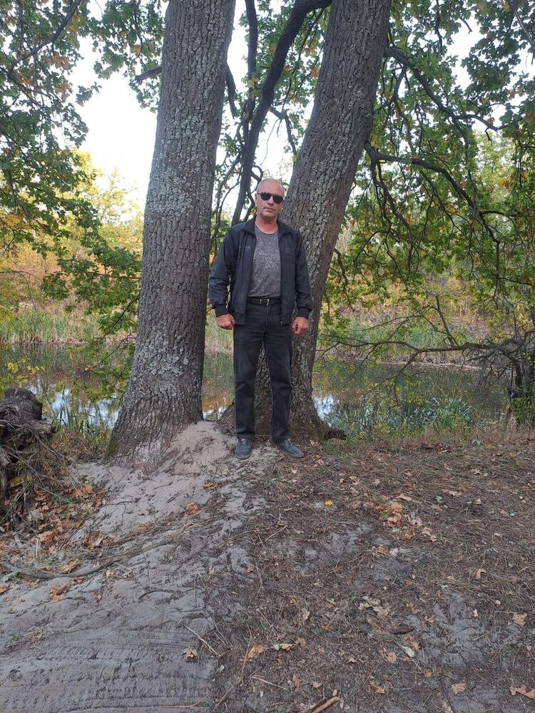 ���� 55859931 ������� ������, 54 ����, ���� ���������� � �������