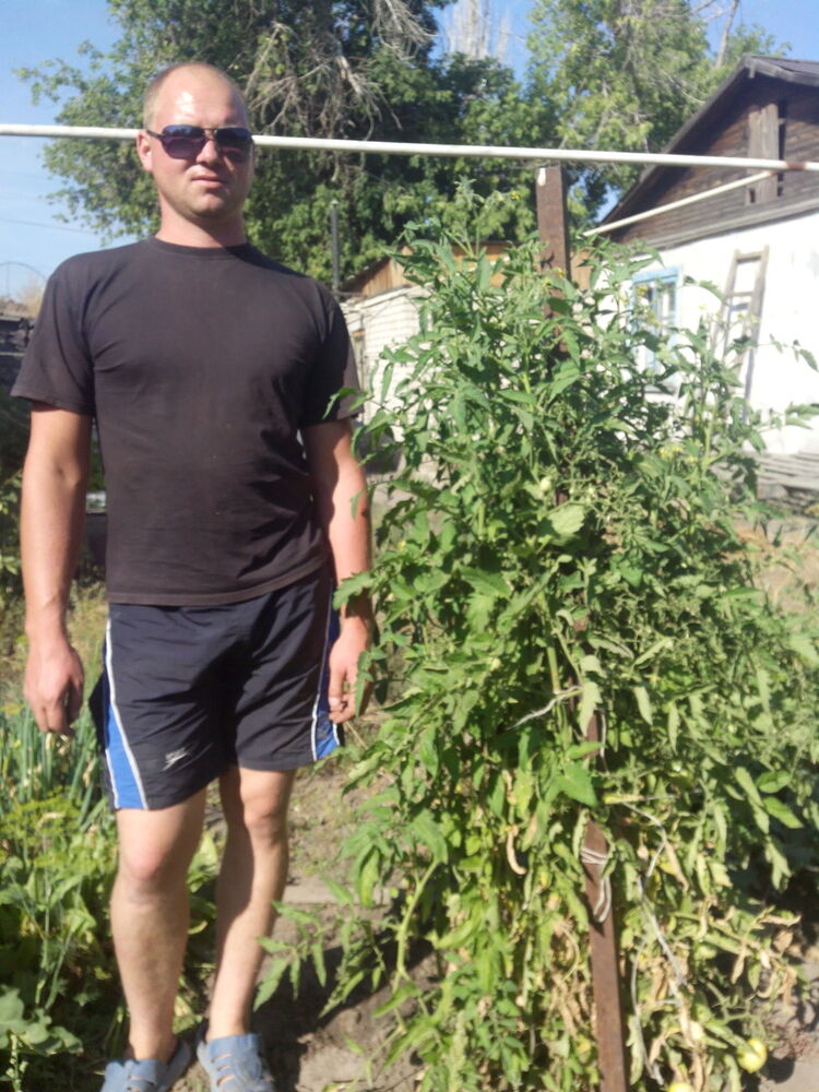 ���������� ������, ���� ������� ����, 36 ���, ������������ ��� ������