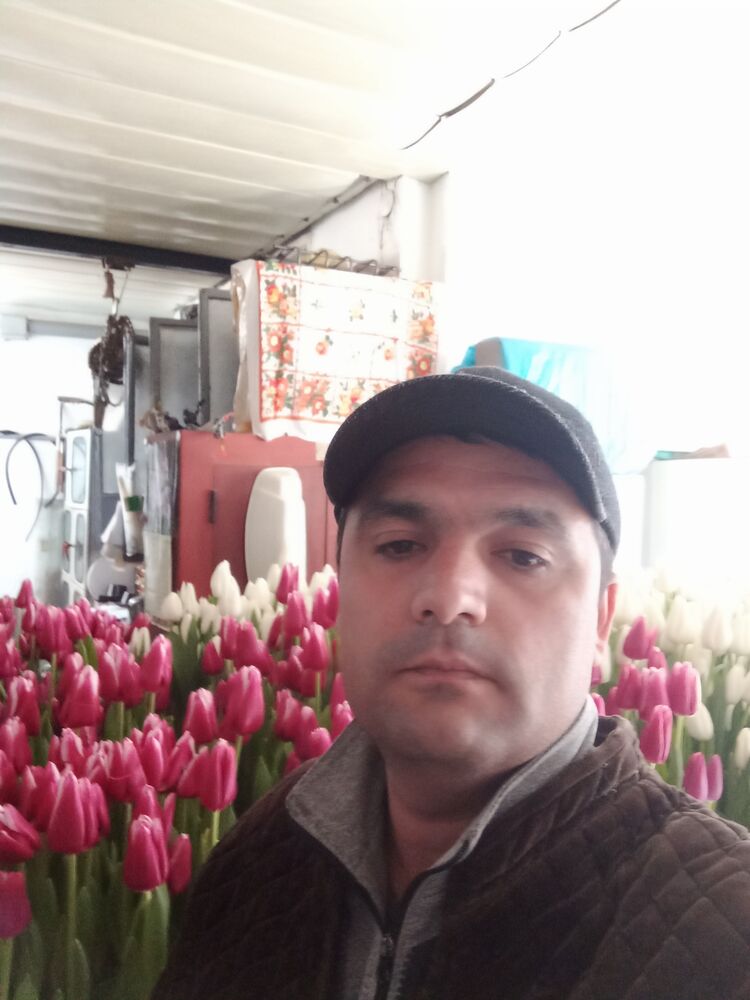 ���������� ��������, ���� ������� ������, 38 ���, ������������ ��� ������, ����� � ���������