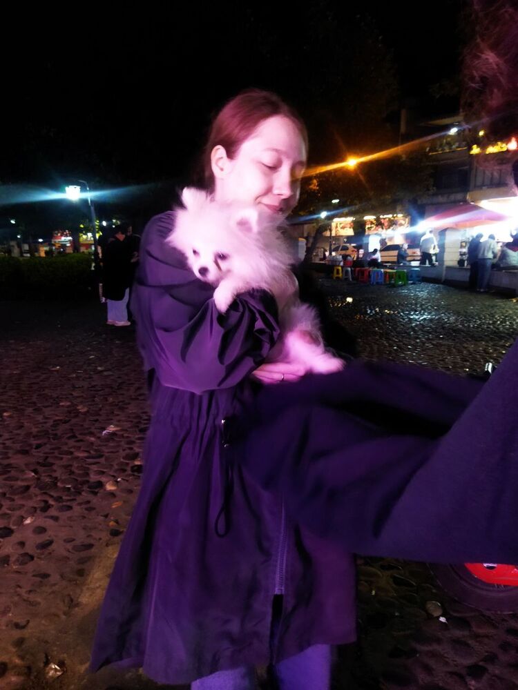 ���� 54334111 ������� ��������, 27 ���, ���� ���������� � ��������