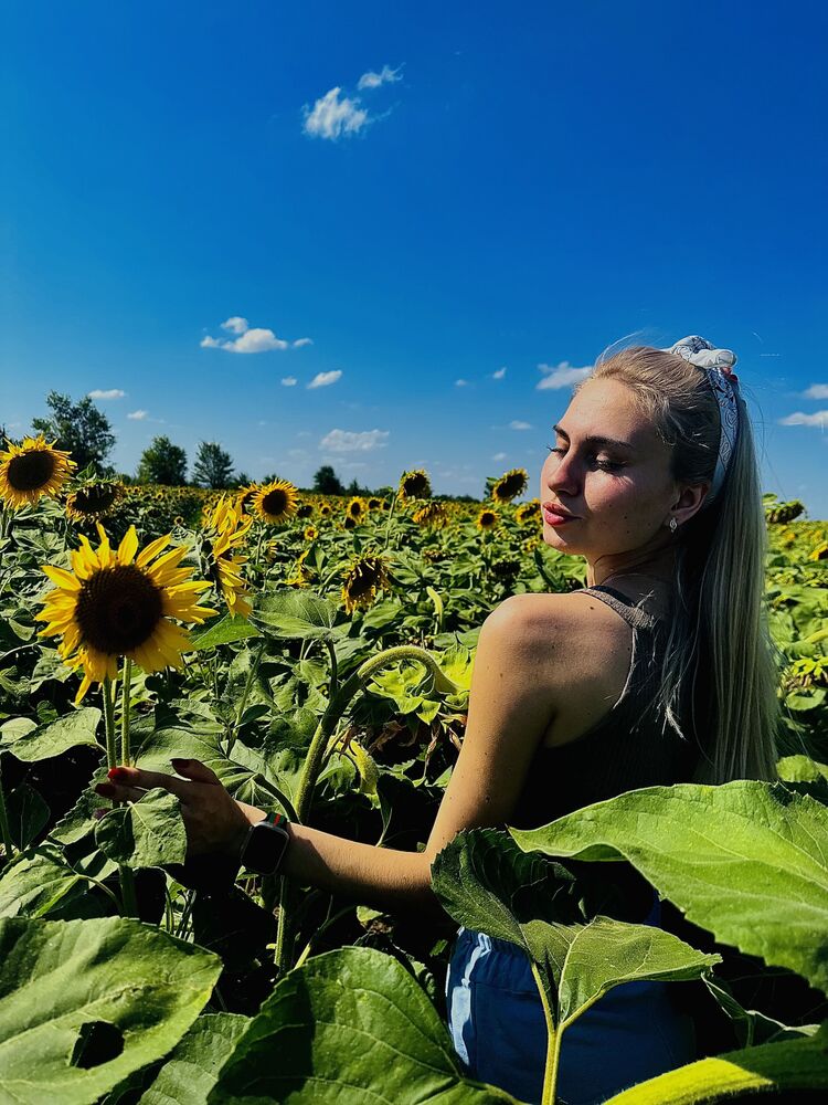 ���������� ������, ���� ������� ���, 24 ����, ������������ ��� ������, ����� � ���������, c�������� ���������