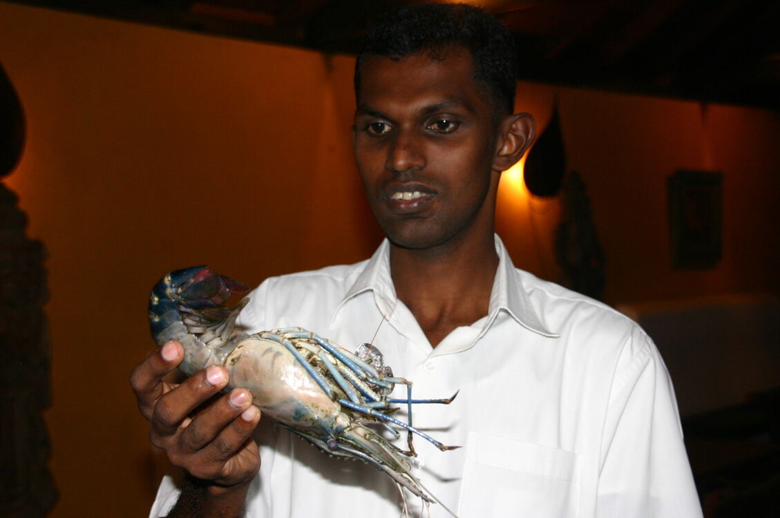 ���� 6156301 ������� Afalin, 55 ���, ���� ���������� � ������