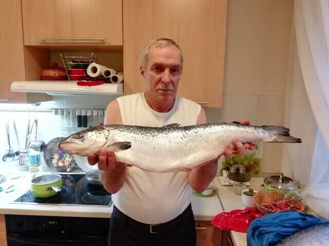  44032631  Sergej, 69 ,    