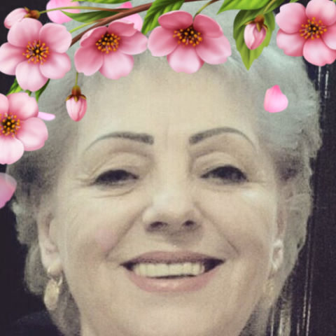 ���� 23178471 ������� �����, 68 ���, ���� ���������� � �������