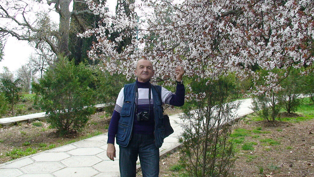  ,   , 65 ,   ,   