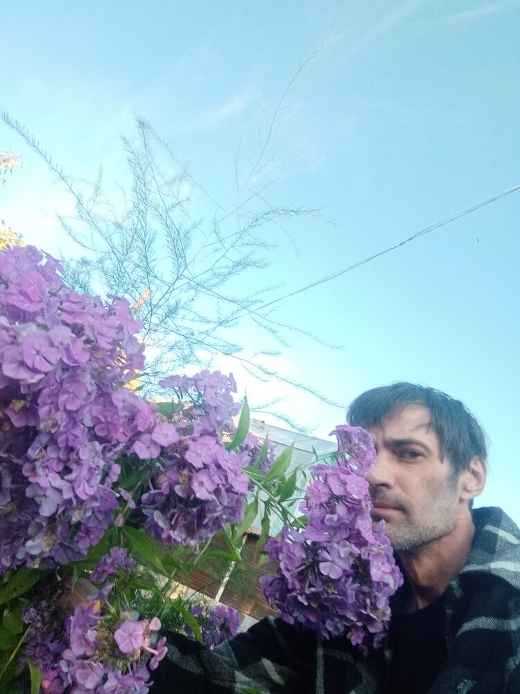 ���������� ������, ���� ������� ��������, 44 ����, ������������ ��� ������, ����� � ���������, c�������� ���������, ���������