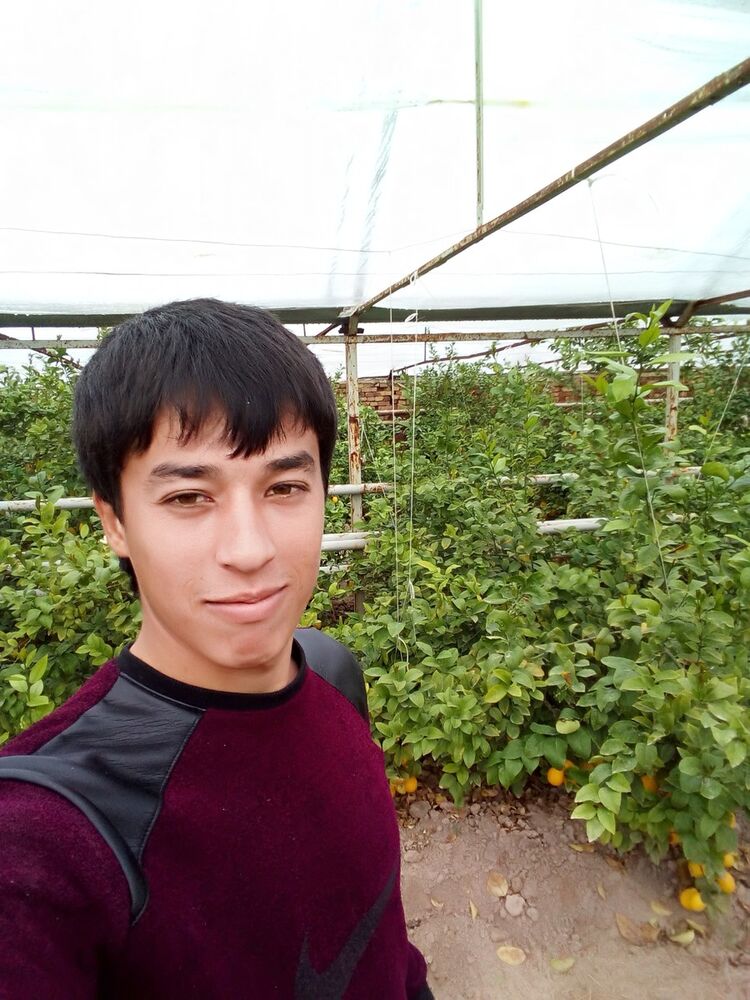  ,   Jahon, 29 ,   ,   , c 