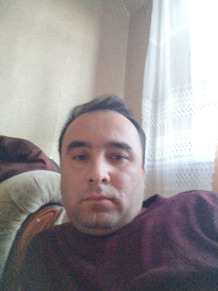  51114941  , 33 ,    