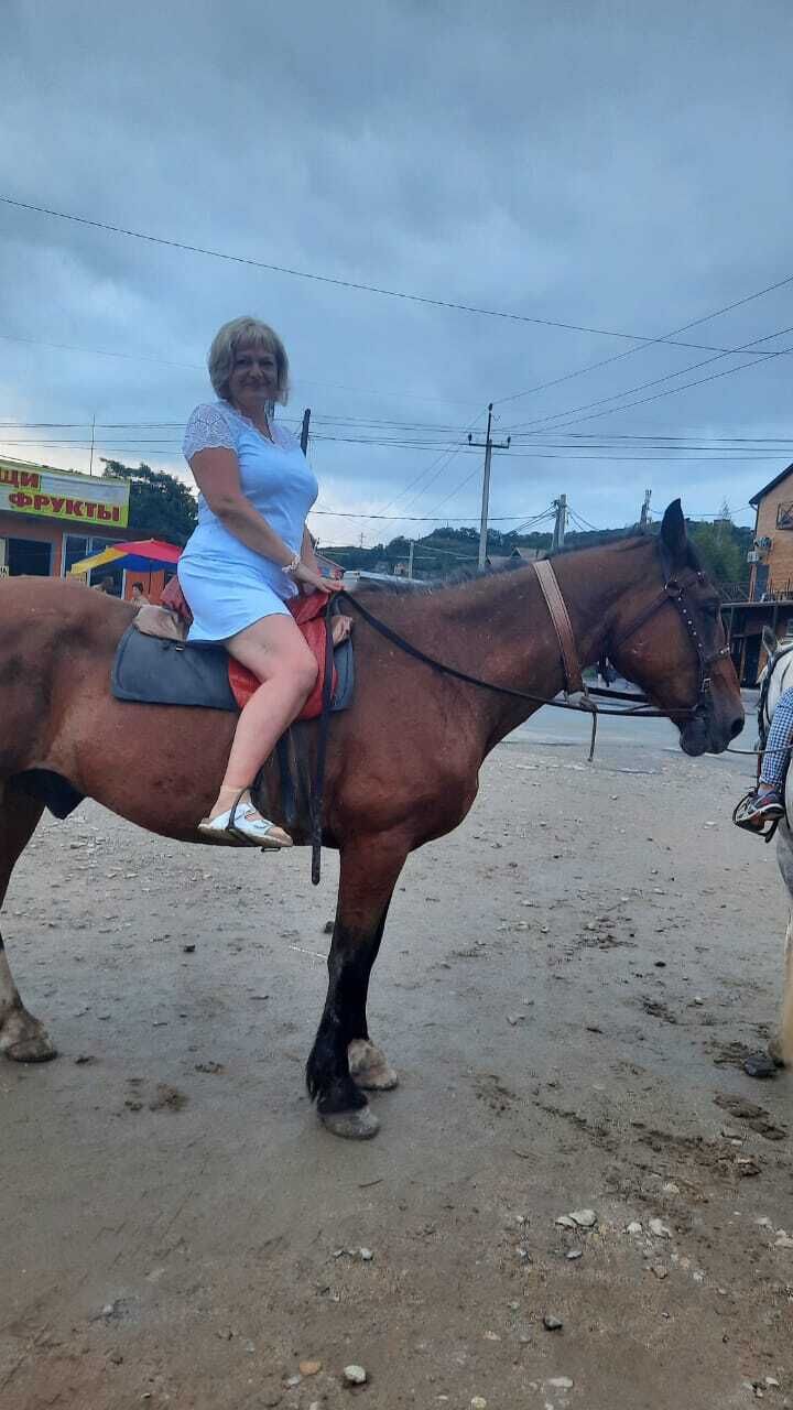 ���� 45310651 ������� ������, 44 ����, ���� ���������� � ������