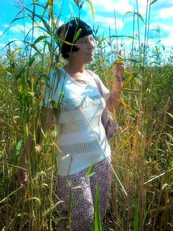 ���������� ������������, ���� ������� ����������, 58 ���, ������������ ��� ������, ����� � ���������