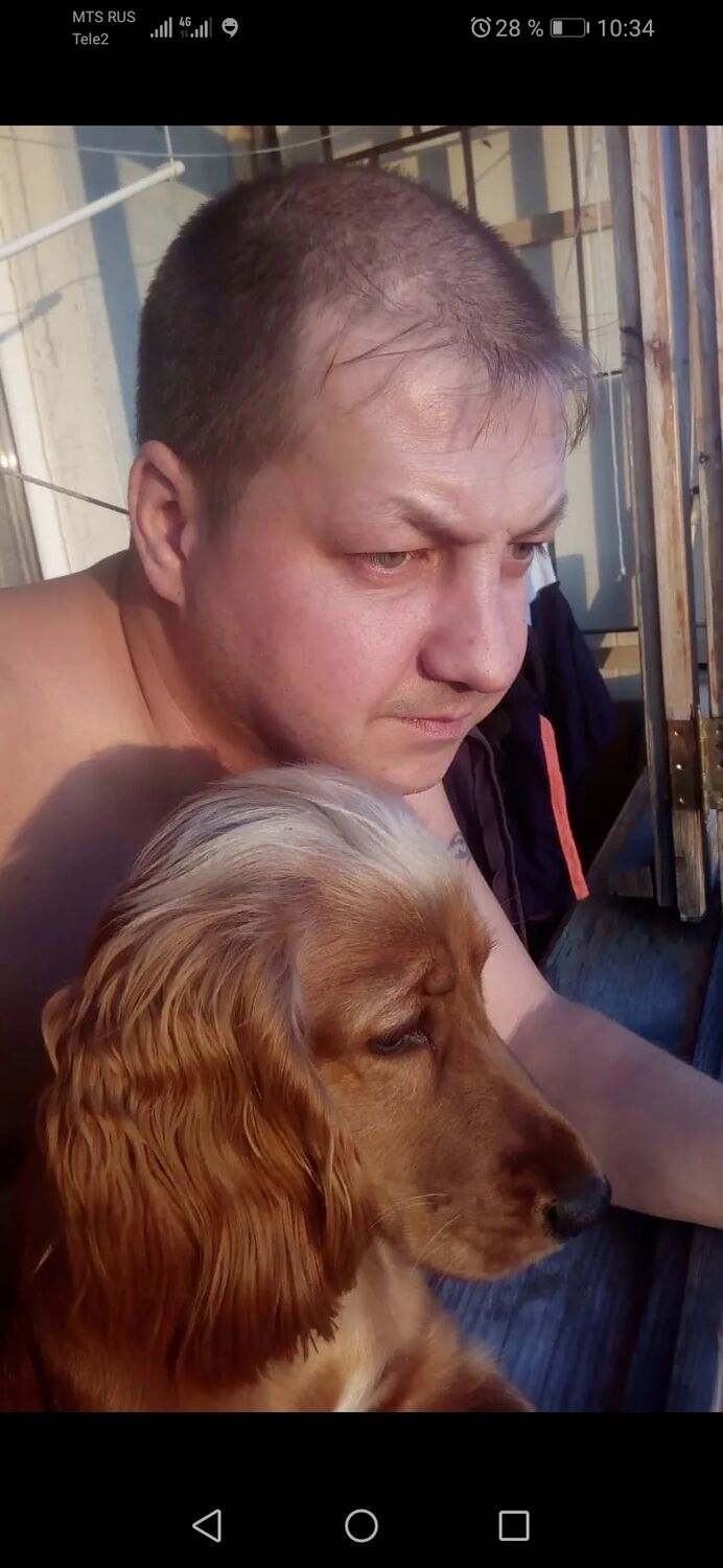 ���������� ����, ���� ������� �����, 43 ����, ������������ ��� ������, ����� � ���������, c�������� ���������