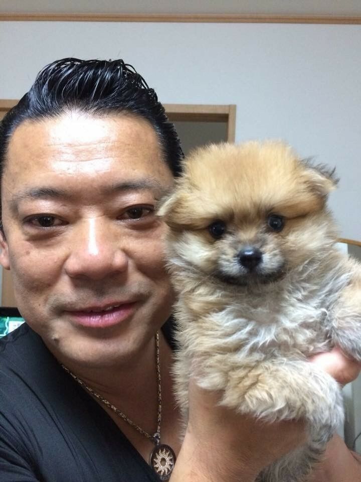  19765971  Koichi, 53 ,    