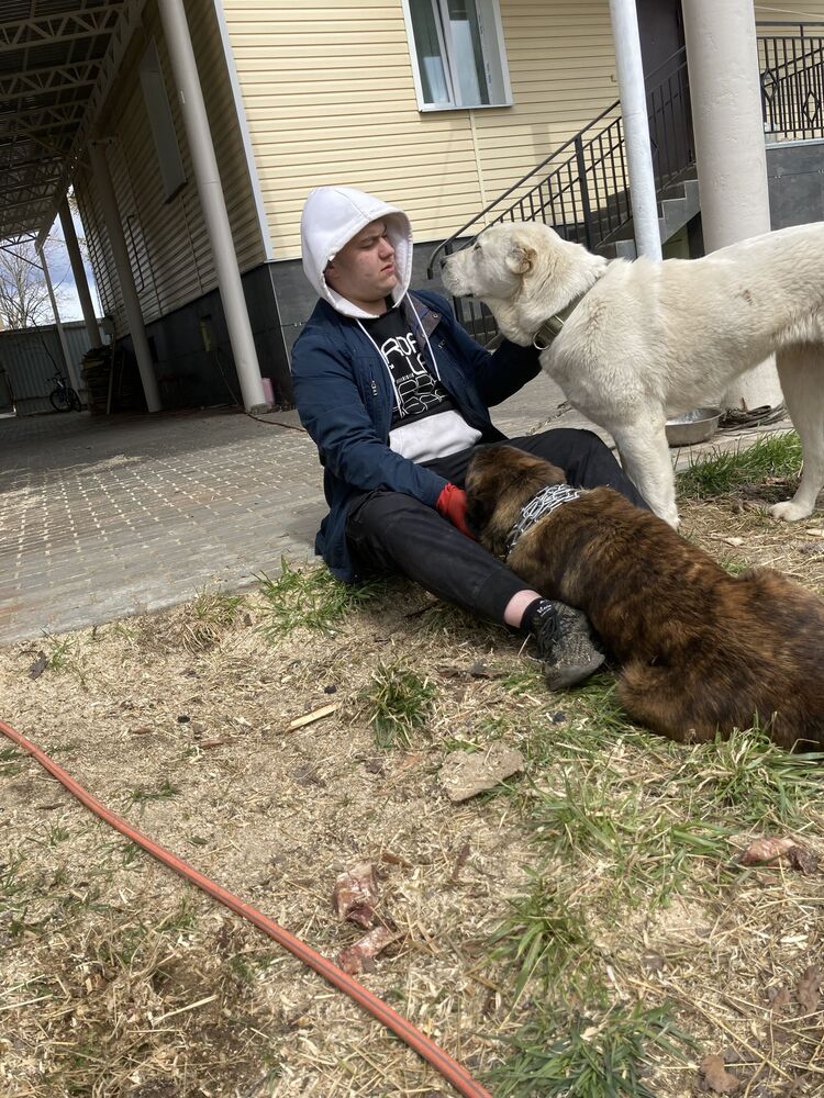 ���� 26258771 ����� ������, 23 ����, ���� ���������� � �����-����������