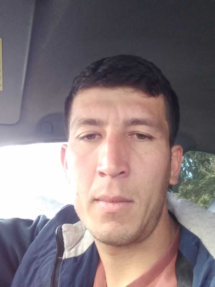  50806851  , 31 ,    